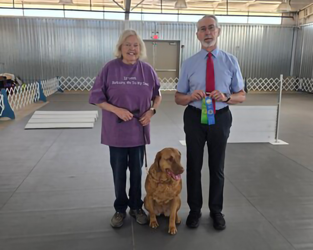 Holly the Chesapeake Bay Retriever.